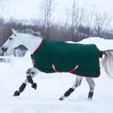 Horseware Rambo Original - Winterdecke oder Regendecke 145cm ohne Füllung green/red -