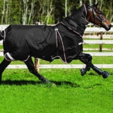 Pferdedecke Horseware Rambo Optimo mit Liner und Halsteil 155cm Black/Orange & Black -